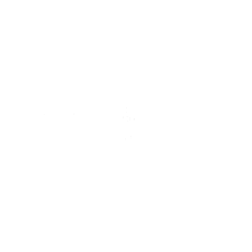 Diener AG precision machining company logo