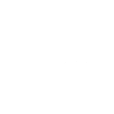 Diener Precision Pump company logo