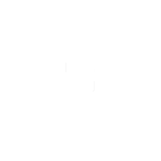 STS Develier company logo